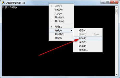 2024最新版電腦端云提取碼工具 官方正版綠色免費(fèi)下載與安裝全指南